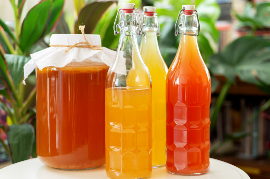 Fermentētus dzērienus ieteicams lietot mērenībā un kā daļu no daudzveidīga uztura, jo to sastāvā var būt arī cukurs vai neliels alkohola daudzums.
