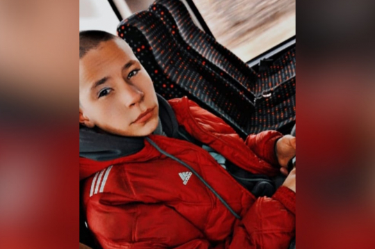 Anrijs Videnieks. Anrijs Videnieks.
