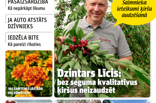 "Praktiskais Latvietis" Nr. 31, 2026. "Praktiskais Latvietis" Nr. 31, 2026.