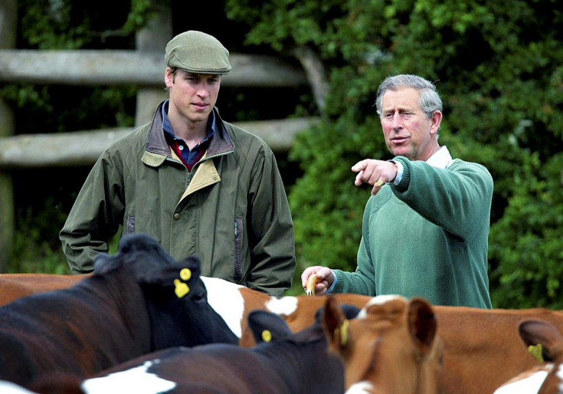 Tagadējais karalis Čārlzs – toreiz vēl princis – pirms gadiem 20 kopā ar dēlu Viljamu pozē fotogrāfiem pie Haigrovas muižas govīm. Muižā joprojām darbojas bioloģiskā saimniecība.