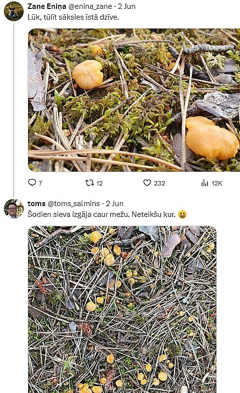 Sociālo mediju lietotāji ziņo – pirmās šīsvasaras sēnes ir klāt.
