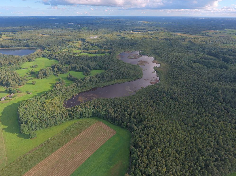 Skats no gaisa uz grūti pieejamo Ruskuļu ezeru dabas parka "Cirīša ezers" un Eiropas Savienības aizsargājamās dabas teritorijas "Natura 2000" zonā. Daļu ezera piekrastes aizņem valsts meži, daļu vietējiem iedzīvotājiem piederošās pļavas.