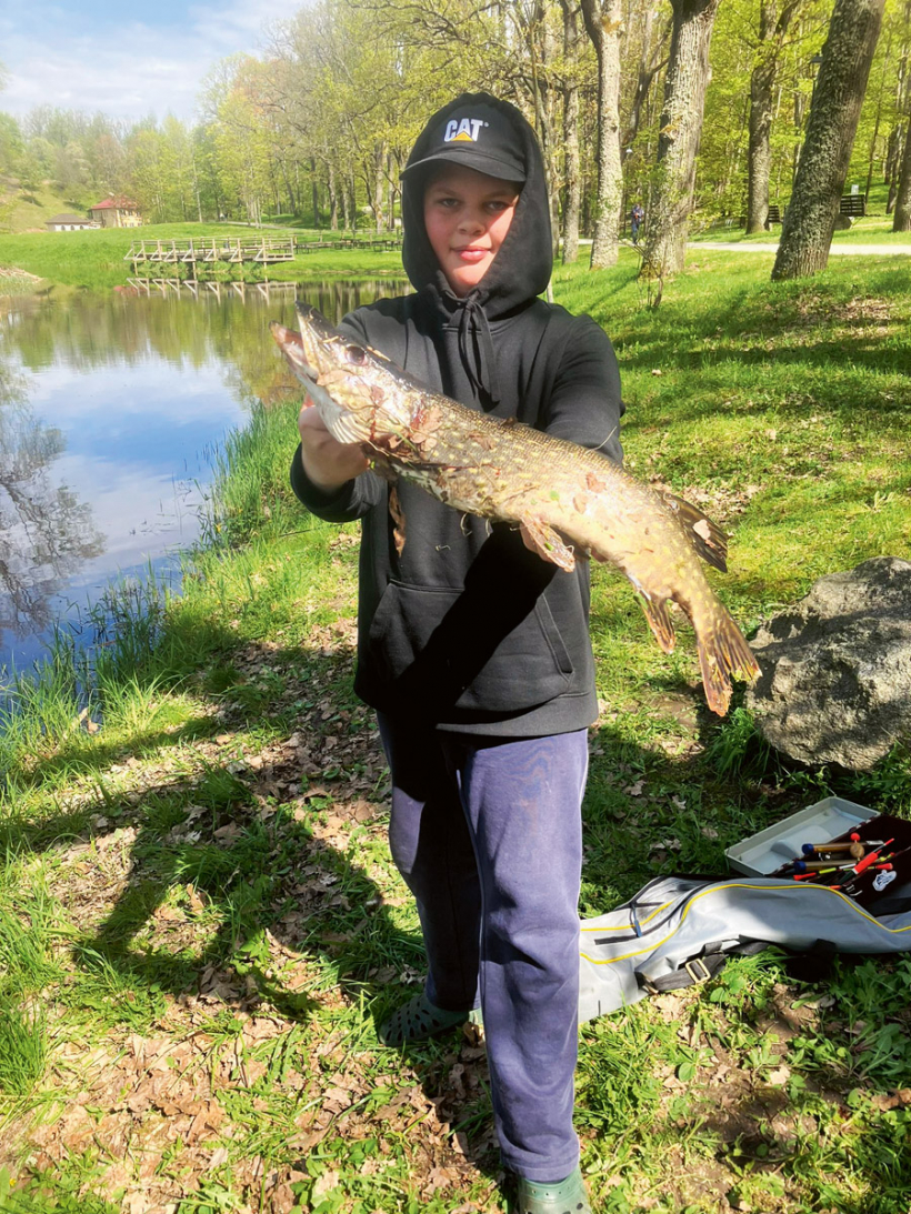 1,5 kg smaga līdaka.