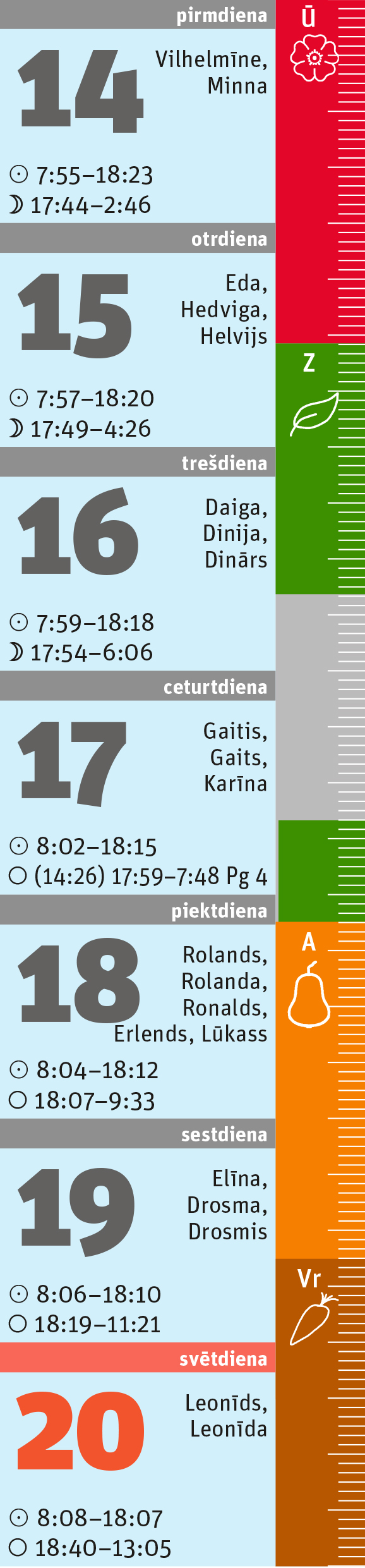 42. nedēļa.