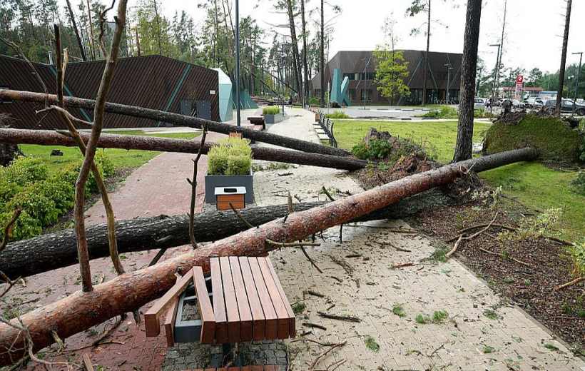 Jūrmalā vētra nodarījusi lielus postījumus Kauguru parkā.