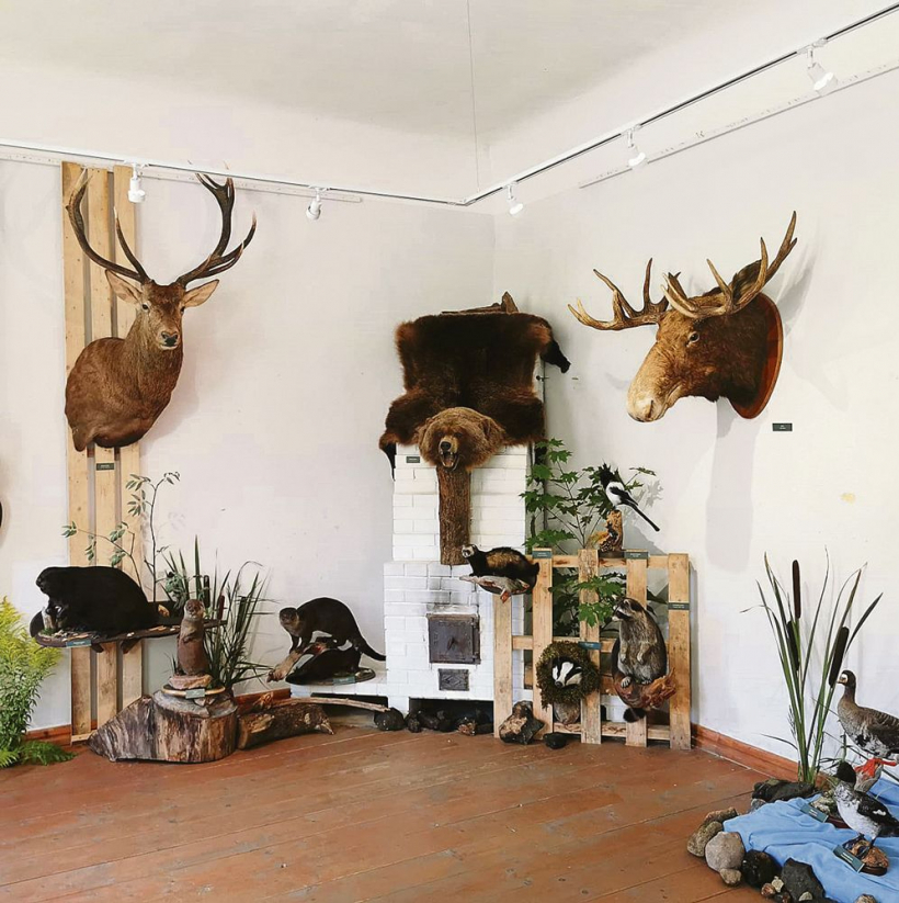 Melnais bebrs, alnis no septiņdesmitajiem gadiem, aizsargājamais ūdrs, cerams, ne tik drīz Latvijā sagaidāmais ciemiņš jenots un citi zvēri.