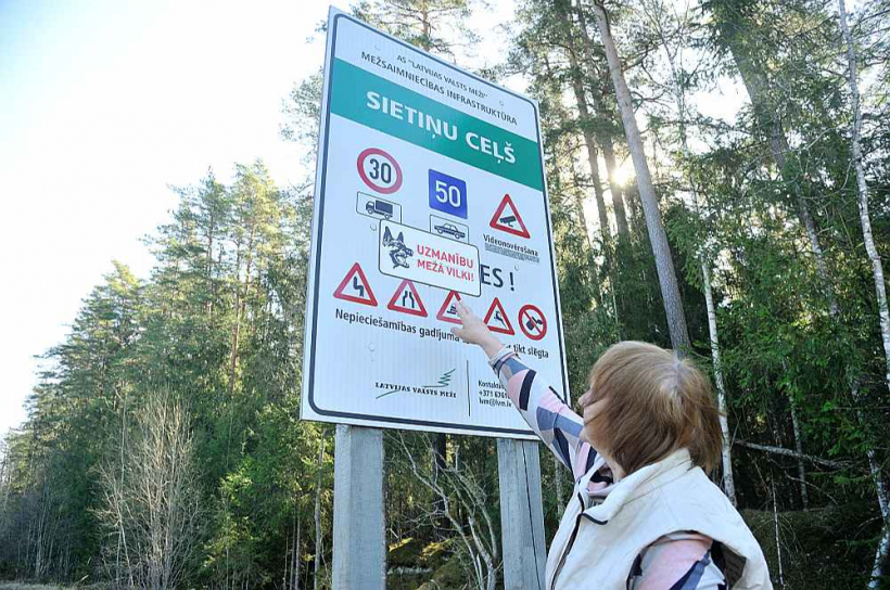 Dažviet Latvijas mežos uzliktas pat norādes, brīdinot cilvēkus par vilku klātbūtni. Pēc Valsts meža dienesta vērtējuma Latvijā patlaban mitinās apmēram 1400 vilku. Pēc citu zinātnieku pētījumiem – 500–800 vilku.