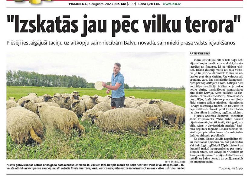 "Latvijas Avīze" publikācijā pērn 7. augustā jau rakstīja par saimnieku stāstiem, kādus postījumus paveikuši pelēči un ko viņi gaida no varasvīriem.