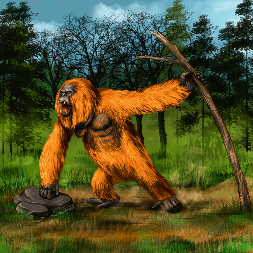 Aizvēsturiskais gigantiskais orangutans Gigantopithecus.