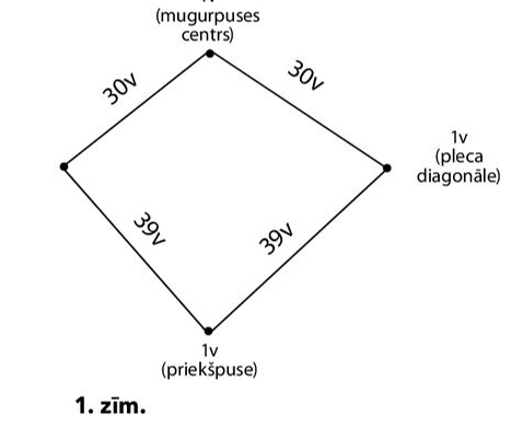 1. zīmējums.