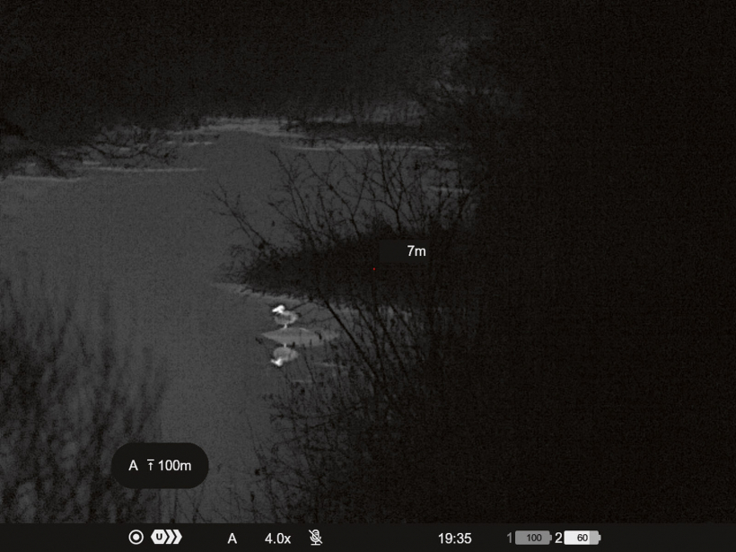 Interesanti, cik precīzi parādās pīles atspulgs ūdenī.