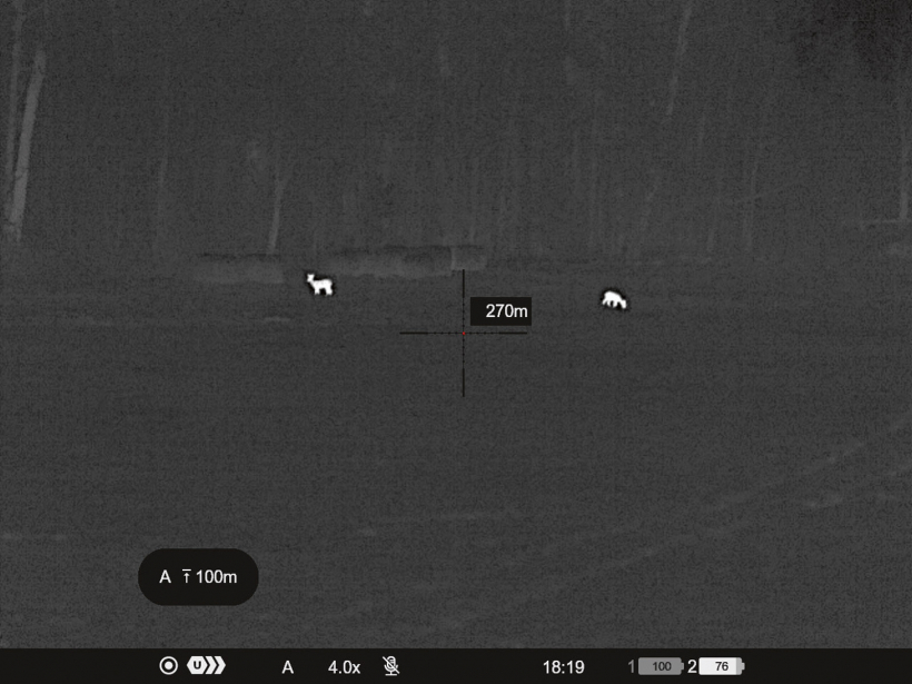 Stirna ar kazlēnu 270 metros.