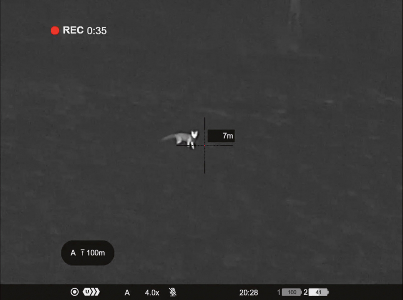 Lapsa apmēram 120 metros.