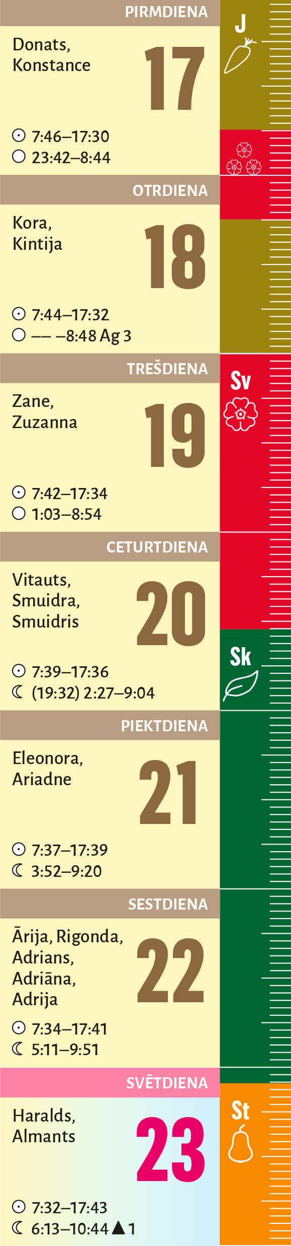 8. nedēļa.
