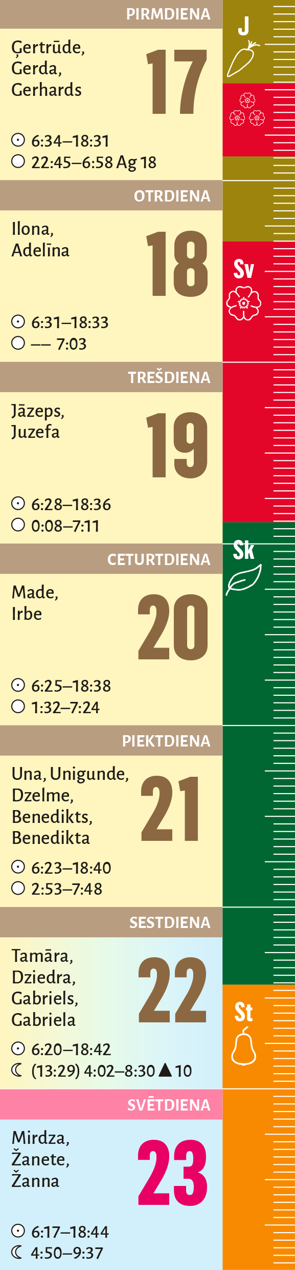 12. nedēļa.
