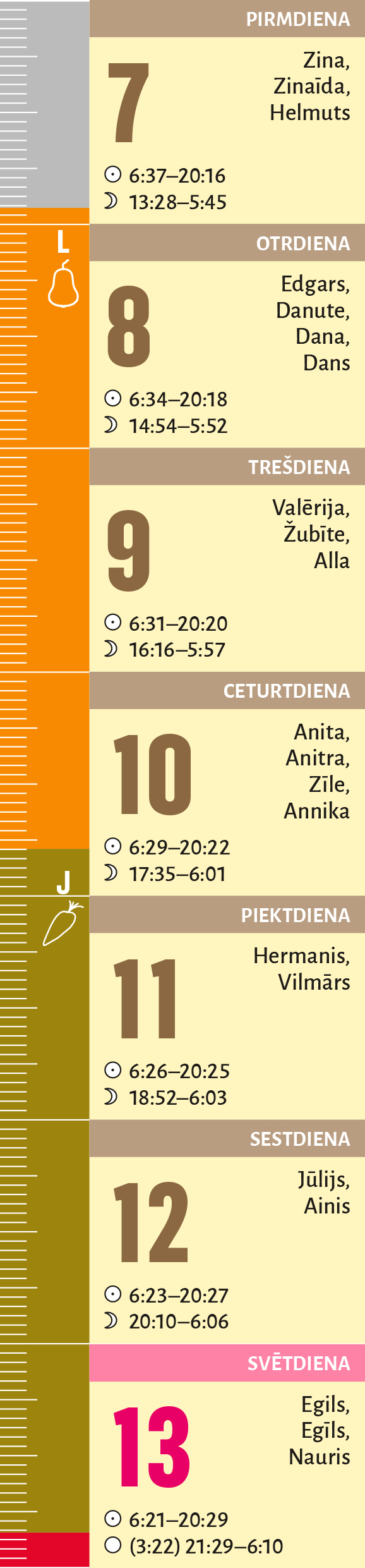 15. nedēļa.