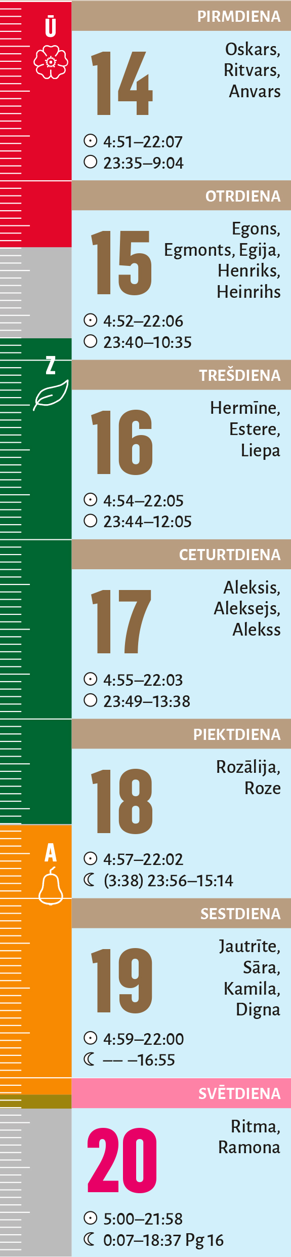 29. nedēļa.