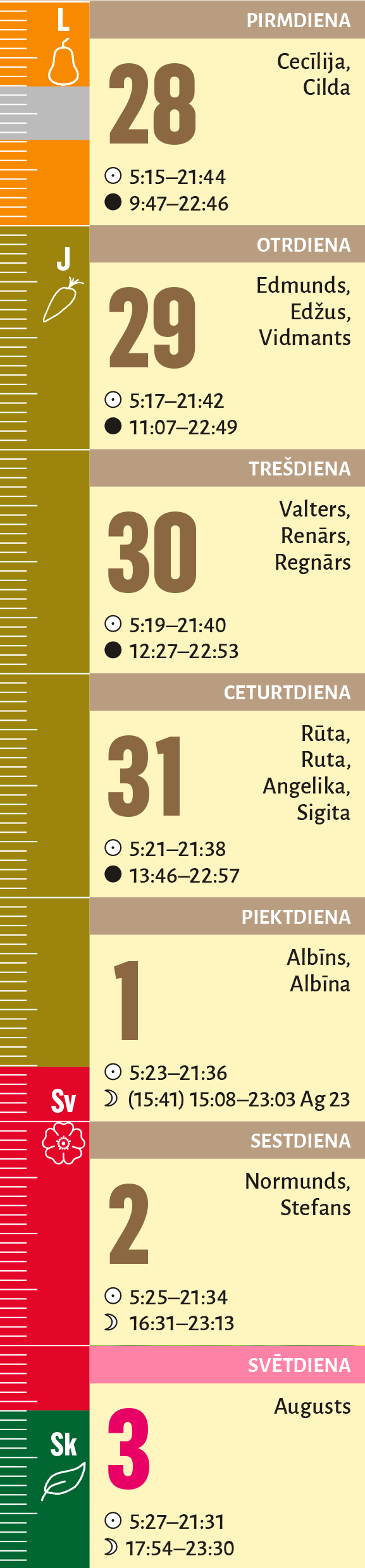 31. nedēļa.