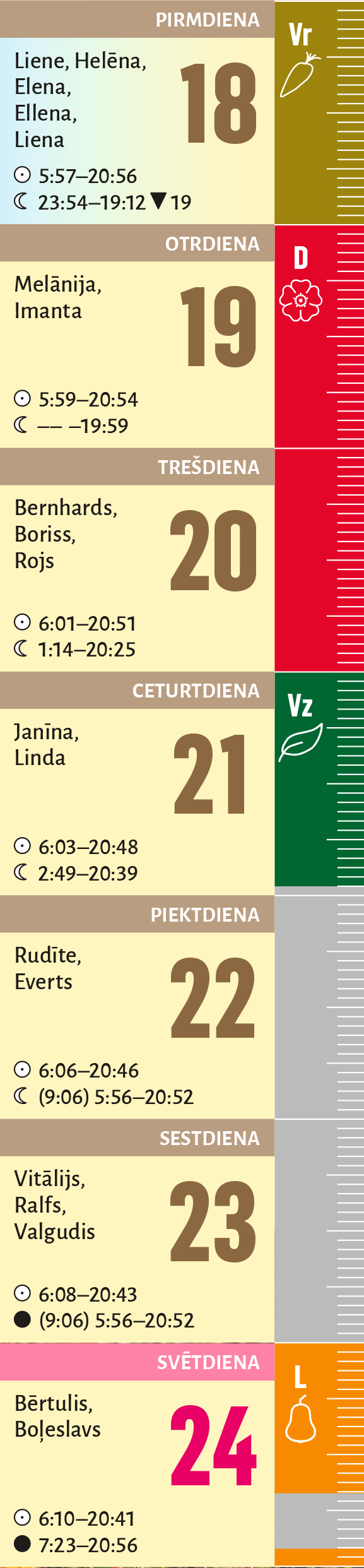 34. nedēļa.