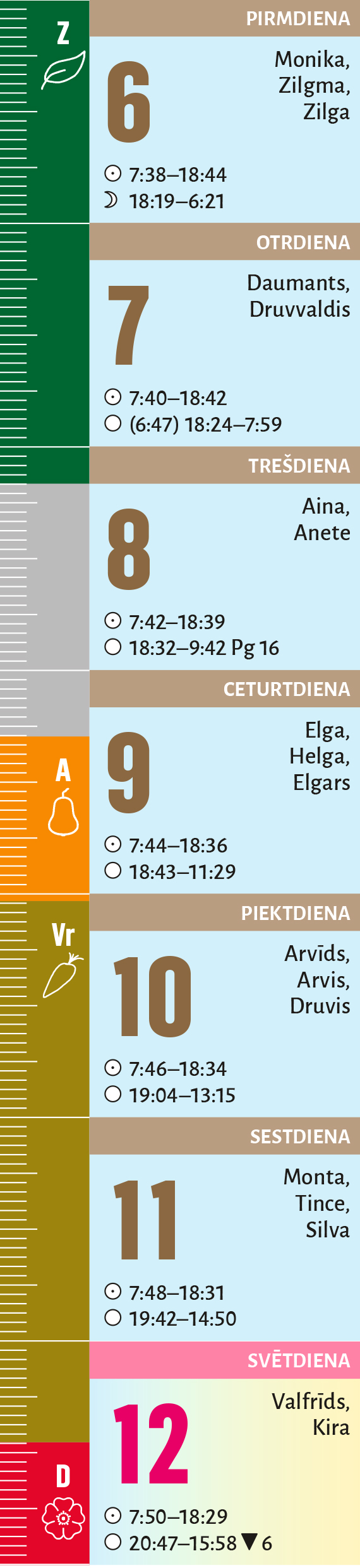 41. nedēļa.