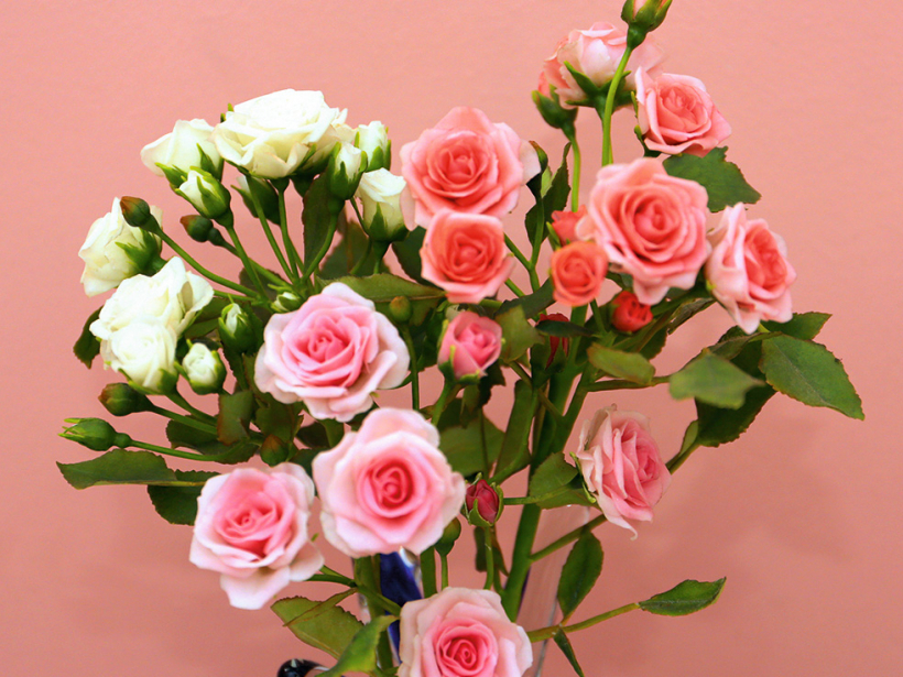 Porcelāna rozes.