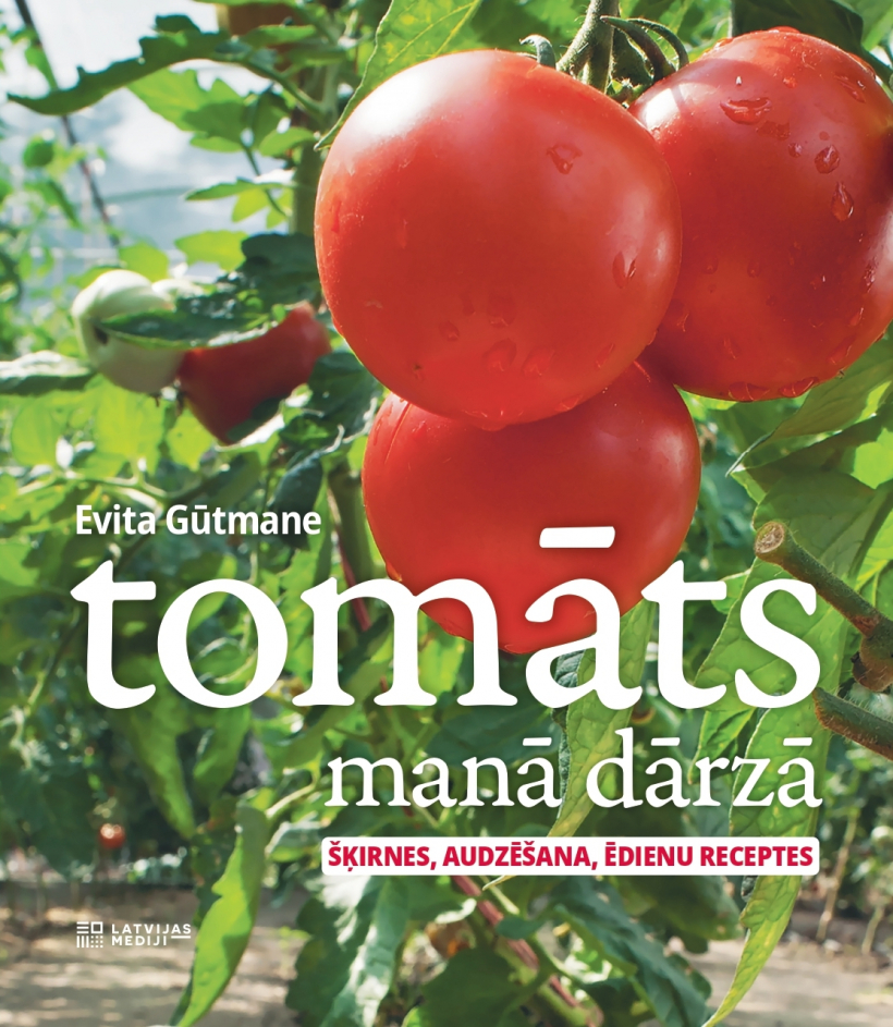 "Tomāts manā dārzā".