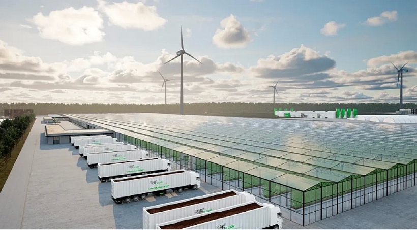 Plānots, ka daļu no vēja parkā saražotās enerģijas patērēs Jelgava un "Lafloras" zaļās industriālās zonas uzņēmumi turpat Līvbērzes pagastā, kur atrodas Kaigu purvs. Tur būs siltumnīcu komplekss, Baltijā lielākā un modernākā stādu audzētava, iecerēts piesaistīt arī liela enerģijas patēriņa un augstas pievienotās vērtības uzņēmumus, piemēram, datu centrus u.tml. Projekta attīstītāji ir pārliecināti, ka tādā veidā izdosies saglabāt jau esošās vairāk nekā 300 darba vietas un papildus radīt vēl tikpat jaunas.