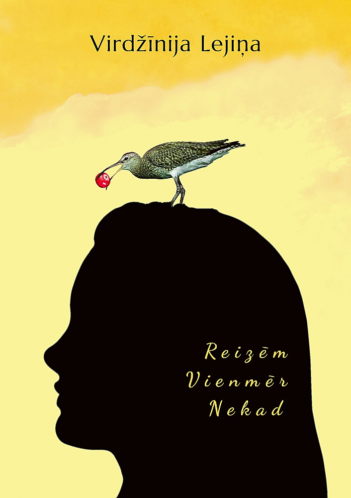 Virdžīnija Lejiņa, "Reizēm. Vienmēr. Nekad".