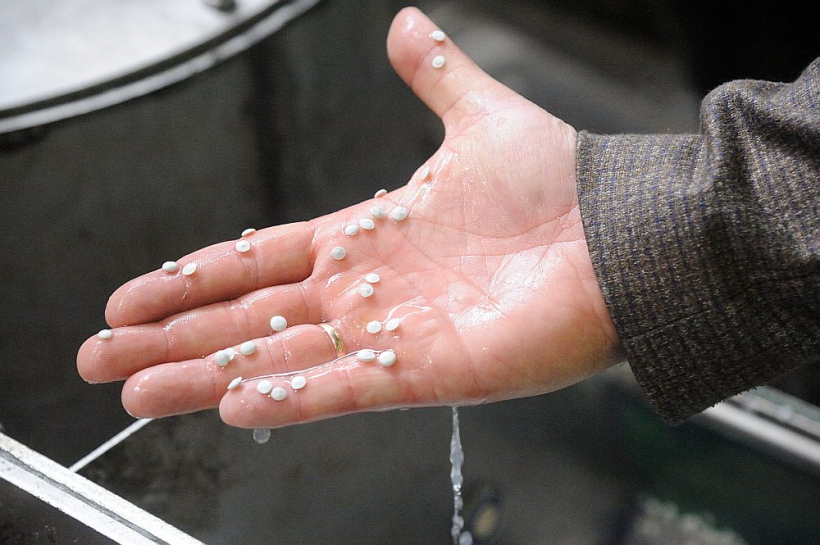 Šādi izskatās plastmasas maisiņu pārstrādes gala rezultāts – granulas, no kurām ražo jaunus maisiņus.