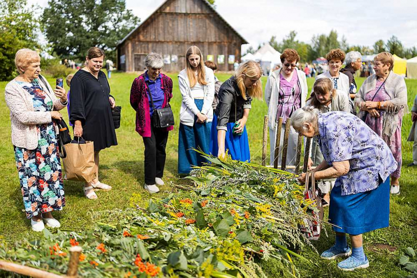 2024. gada "Vēveru dienu Vēveros" apmeklētājiem liela interese un prieks bija par augu deķu aušanu.