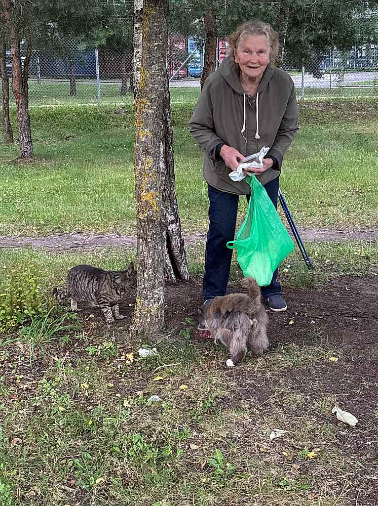 Agrāk pie kādreizējās Linezera slimnīcas dzīvojusies prāva kaķu kolonija, nu Ainai jācienā vien divi runcīši.