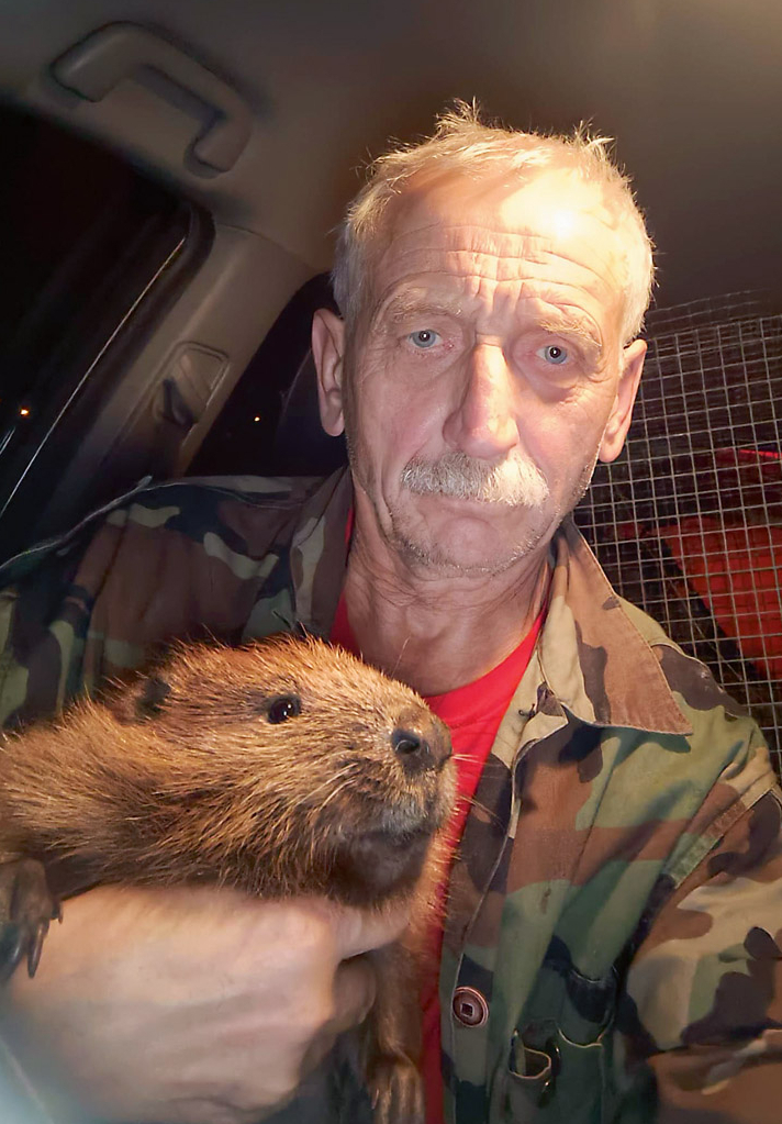 Medījums mašīnā!