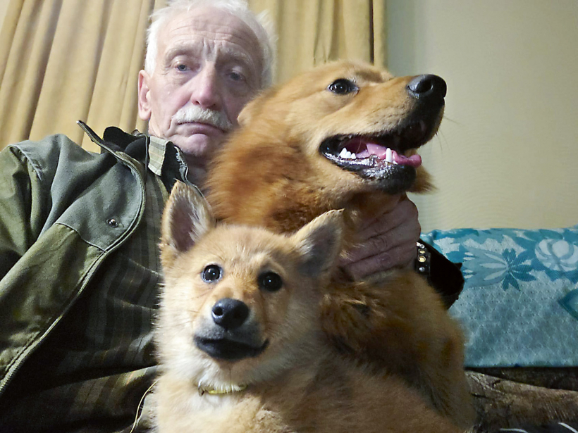 Jāzepam medībās palīdz somu špici.