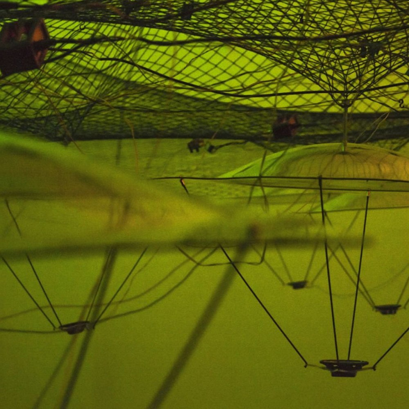 Riharda Vītola darbs no izstādes "Ekotopija".