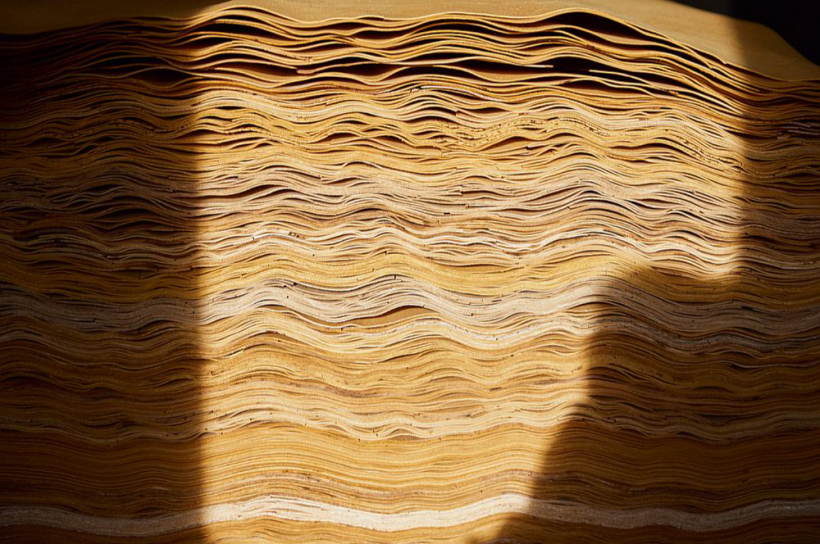 Bērza finierskaida, kas top "ZLM Birch" Olaines rūpnīcā.