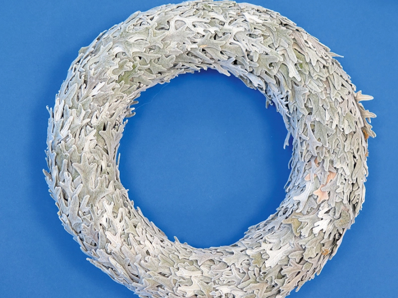 Vainags no krustainēm.