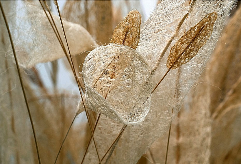 Dzintras Vilks darbs no izstādes "Pat ja tumsa, pat ja sals…".