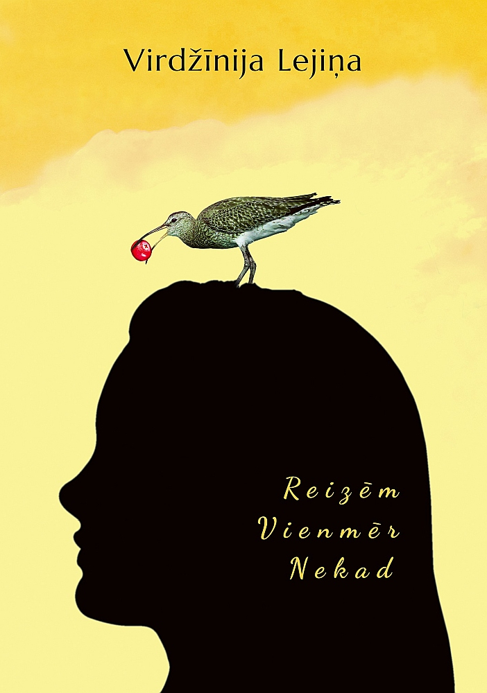 Virdžīnija Lejiņa "Reizēm. Vienmēr. Nekad". "Dienas Grāmata".