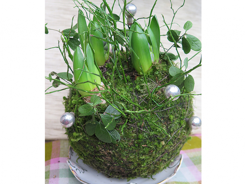 Darba process bumbas izveidošanai ar vairākiem hiacinšu pumpuriem.