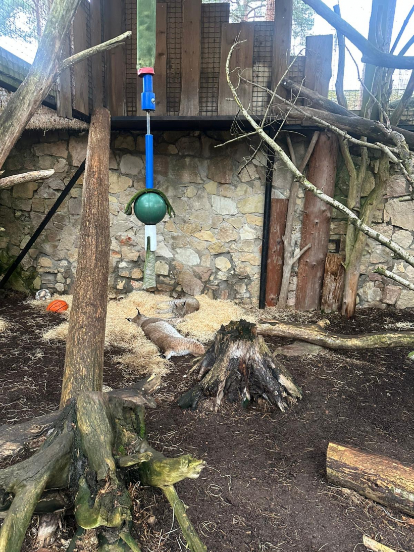 Siltākais risinājums dzīvniekiem ziemā.