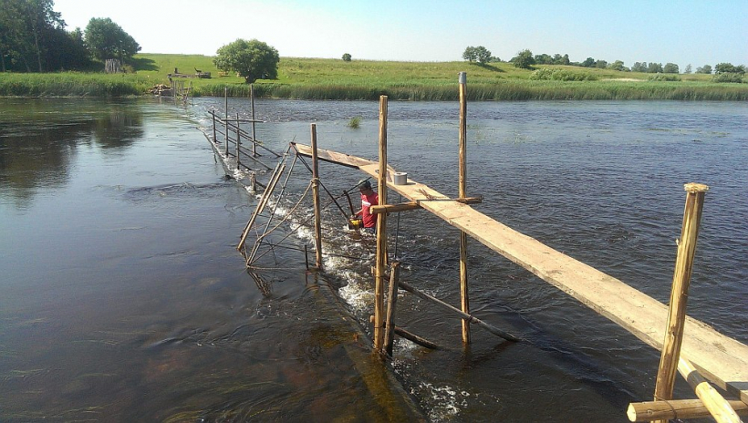 Nēģu zvejas Salacā un Svētupē kopienas kodolu šodien veido 10–15 nēģu zvejnieki.