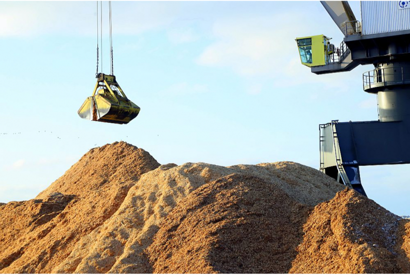 Liepājas Ziemeļu priekšpilsētas iedzīvotāji visbiežāk satraukti par termināli "Liepaja Bulk Terminal Ltd.", kurš, ostā pārkraujot graudus, lopbarību, šķeldu un citas beramās kravas, dažkārt piegružo gaisu ar putekļiem.