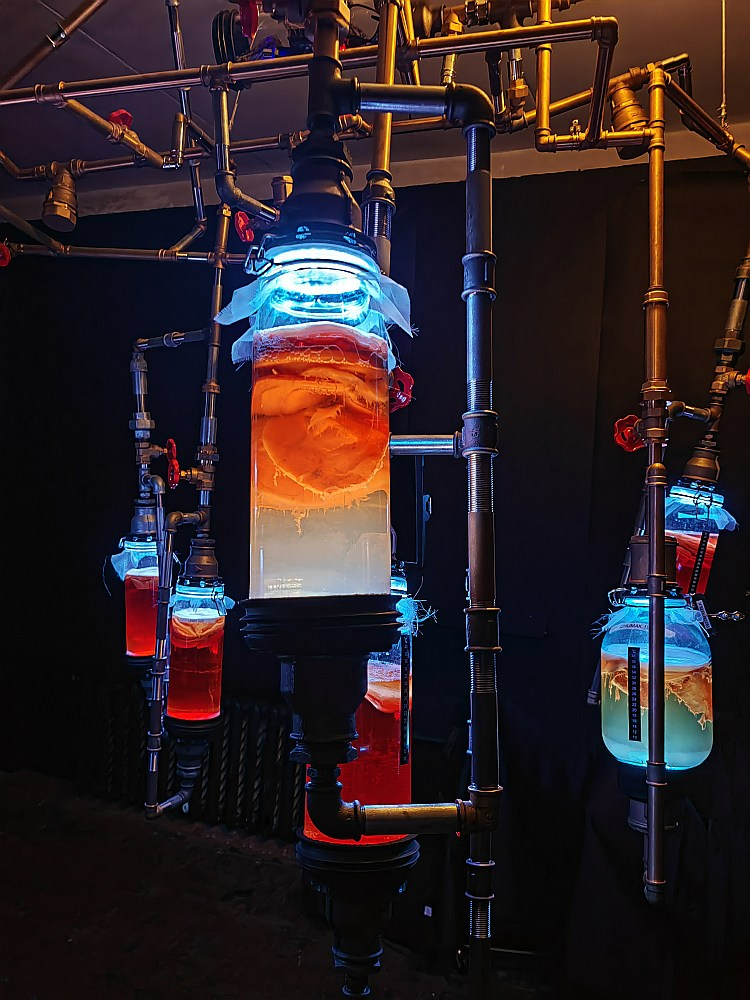 Deniss Evins, instalācija "Kōča Kinoko". 200x120x150 cm. 2025.