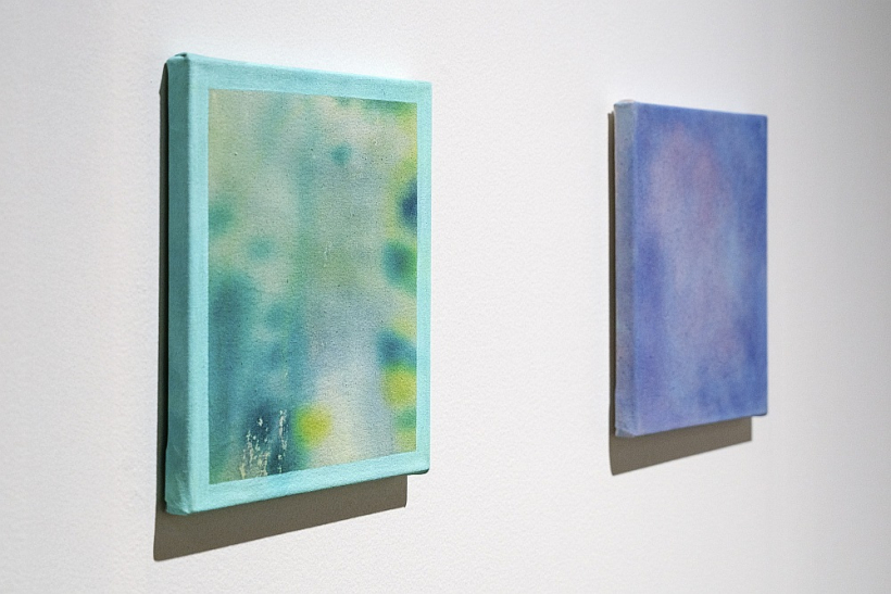 "Sapnis (zili violets)".