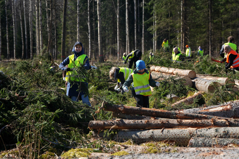 "Latvenergo" darbinieku ģimenes veido nārsta ligzdas.