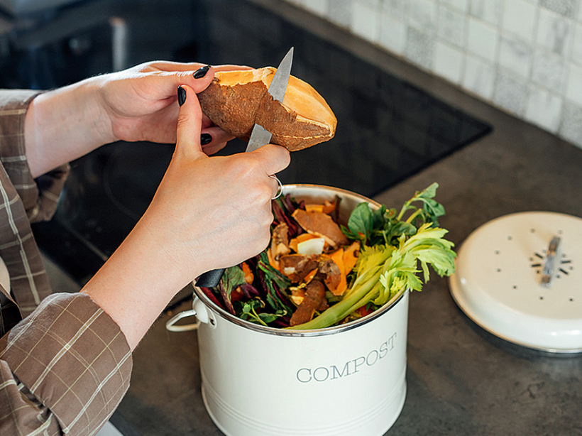 Kompostā var likt augļu un dārzeņu mizas.