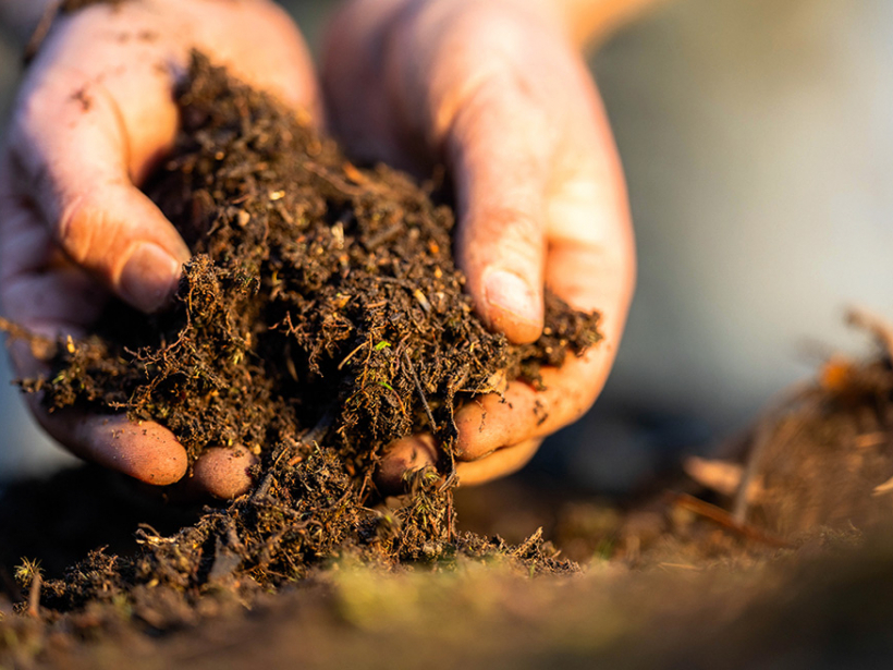 Gatavs komposts ir tumšs, drupans un viendabīgs.