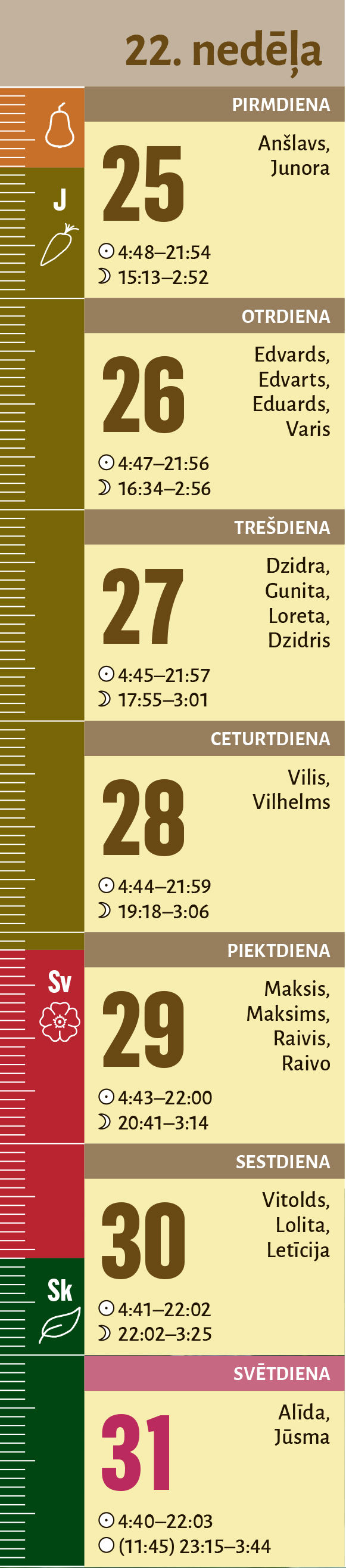 22. nedēļa.