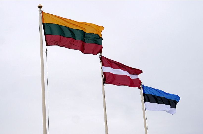 Lietuva pārdomāti virzās uz divīzijas izveidošanu trīs brigāžu sastāvā. Kā ar citām Baltijas valstīm?