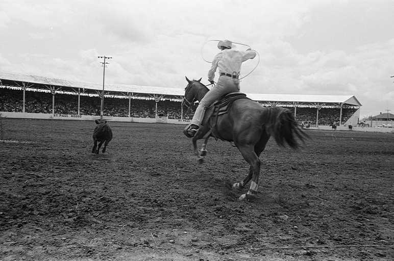 Rodeo. (Foto: Uvis Alberts).
